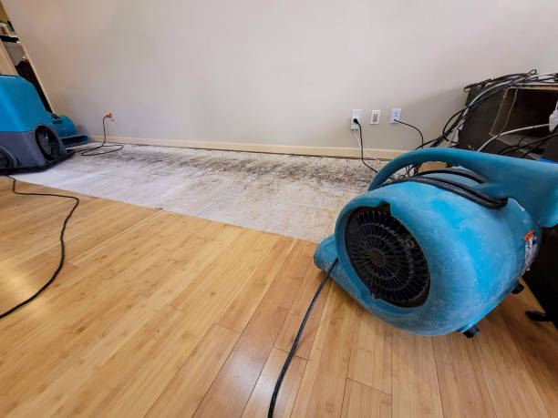 Reliable Basement Flood Cleanup contractor in Milledgeville, GA by Hirex Water Damage