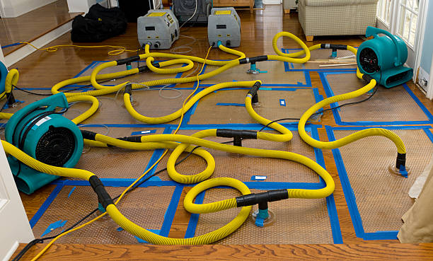 Professional Basement Flood Cleanup technician working in Milledgeville, GA